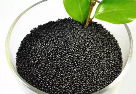 ��ֲ�ᣬ��ʲô���Q�鮔���r�I�İlչ���֣�