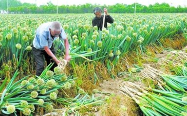 ���[�ĸ߮aʩ�ʼ��g