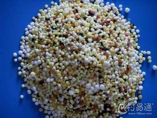 �������N�ʵ����N����