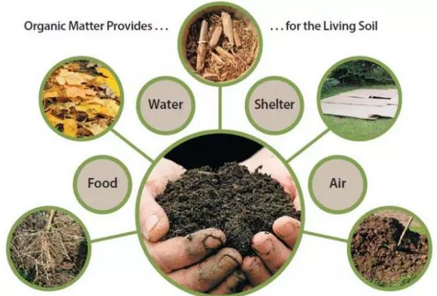 �����ЙC�|����1%��ÿ��Ҫ�ö����ЙC�ʣ�