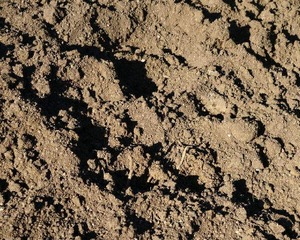 ���@��ʩ������ʣ�׌�����ߡ��������ֻ���