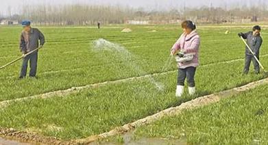 ʩ��ǧ�f��Ҫ��ӛ����Ҫ���ֹ����