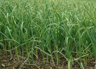 ������ôʩ�ʲ��ܸ߮a(ch��n)��