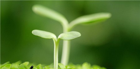 ������ʵ�ʹ�÷�����ע�����(xi��ng)