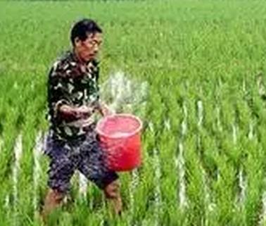 ���@�ķ�Ч���ã��_(k��i)��Ц���϶��������e(cu��)�ˣ�