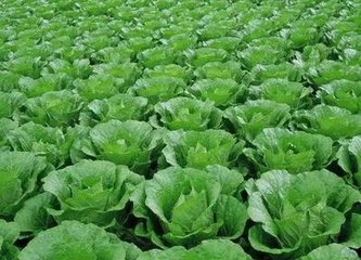 �~��ʵă�(y��u)�c(di��n)�cʩ�÷���