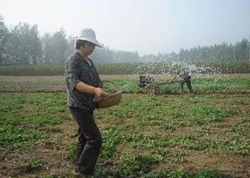 �@ʮ���ʩ���ׅ^(q��)�����ã����ؿ��½^�գ�