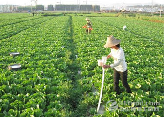 24�N����������Կ��Y(ji��)��