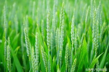 С��׷�ʵ�ע�����