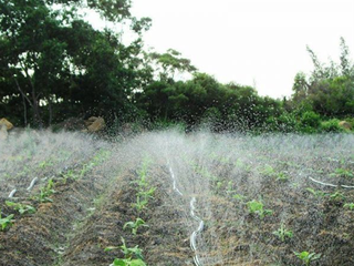 6�н���ʹ�ô���Ԫ��ˮ�ܷ�������Ч�߸��ɿ���