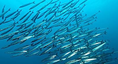 �~���׷�����ʲô����