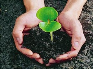 ��ֲ����ϵ����ú�ʹ�÷���