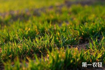 С������ ��������ôʩ����