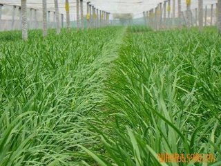 �ЙC(j��)�²�ʩ���ЙC(j��)�ʵķ���