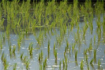 ����ʩ��⛷ʵ�ע�����(xi��ng)