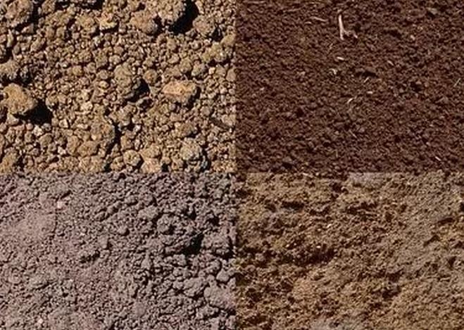 ʷ����V��������������