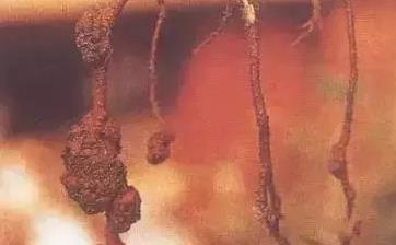 ��ȫ���u�Sʩ�ó��R���������V�����ʩ�ø���Ч��