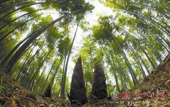 ���S�ĹSǰʩ�ʼ��g