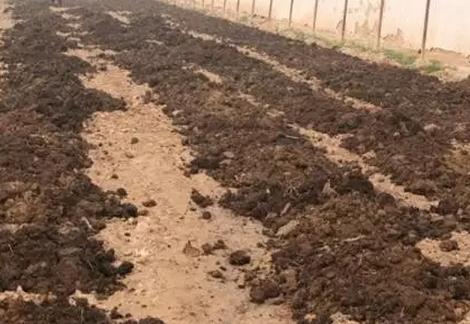 �ЙC���Ϻã�ʩ�e�Ĵ�����ǧ�f�e���@Щ�e�`��