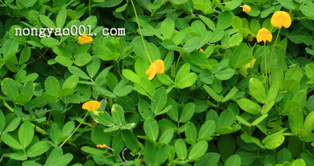 �����~��ʵĿƌWʩ�÷���