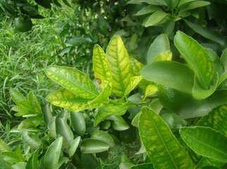 ����ȱ�V�Y�ķ��η���