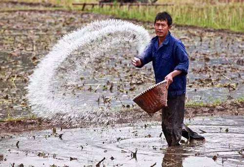 �@��ʩ�ʺܿ������e�ģ�16�Nʩ���`�^