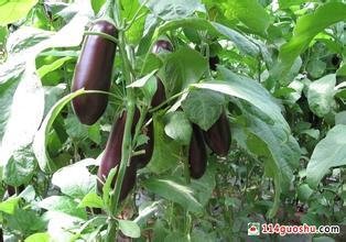 �紺��������ʩ�ʼ��g