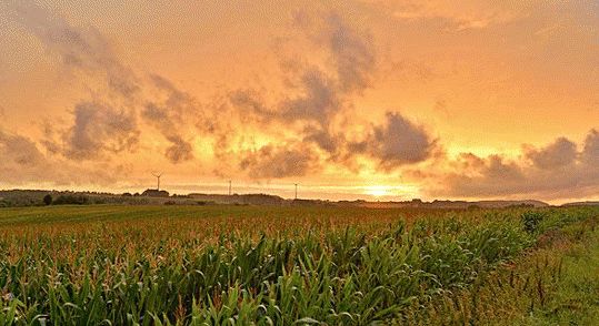 ��ʩ��߀�߮a��һ�����_�@21�����