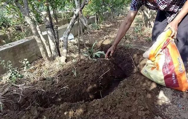 �ЙC�ʌ��r�I��ʲôؕ�I��