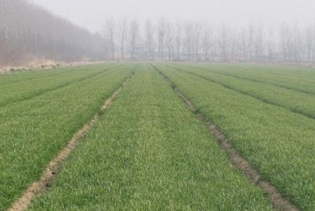 С��?zh��n)��ʹ������g(sh��)