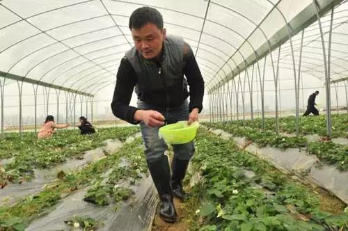 ��΢��Ԫ�ط��ϵ������c����