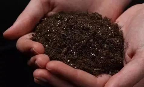 �������涼�С�����������Ч�܅�����