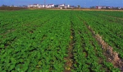 �s���Ͳ�ʩ�ʼ��g(sh��)