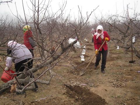 ����(sh��)�y(c��)���䷽ƽ��ʩ��ע�����(xi��ng)