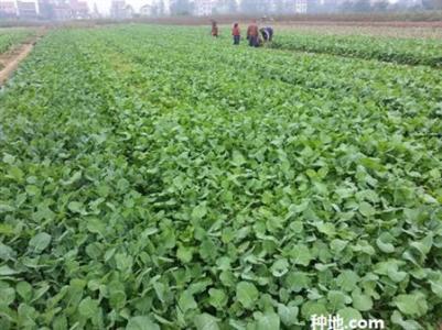 �Ͳ˵ĿƌWʩ�ʼ��g