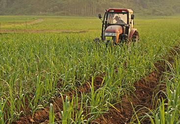 2018�괺��С���ƌWʩ��ָ����Ҋ