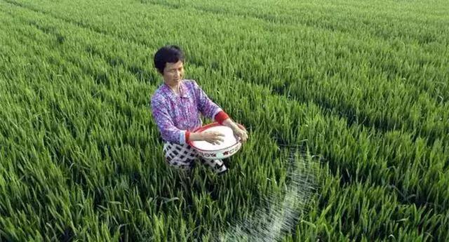 ����äĿʩ���׷���6��Σ������_��