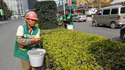 �����G����ľʩ��ע�����