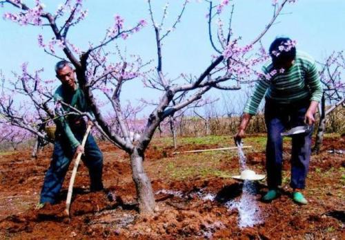 ��������׷�ʝ�ˮ�������g(sh��)