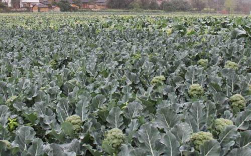 ���m����ʩ�ʼ��g(sh��)