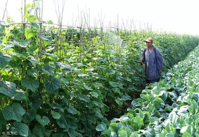 �~��ʿƌWʩ�õ�12�N��������ʩ�rҪ��˶���