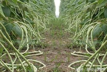 �������׷�ʣ�����׷�ʼ��g