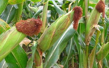 �����������ʩ������������ʩ�ʼ��g(sh��)