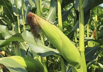 ��������οƌW׷ʩ��ʣ�������׷ʩ��ʼ��g