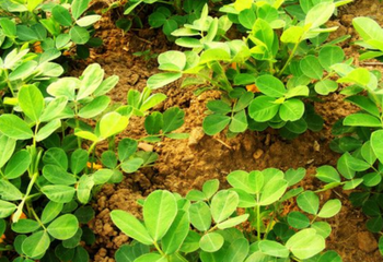 �ļ������~��ʵ�ʩ�ü��g