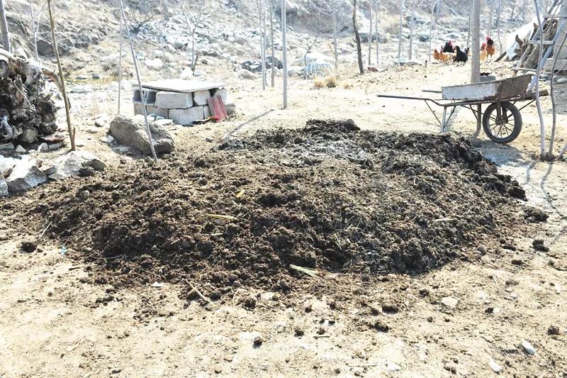 �ѷʡ��G�ʡ����ʣ��f��������߀�治���á��r�ҷʡ�