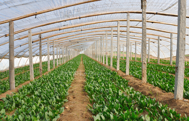 �����߲�ʩ����Ҫע��ʲô�������߲�ʩ��ע�����(xi��ng)