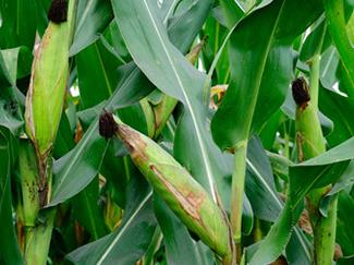 ����ȱ������Щ������ԓ����Д��أ�