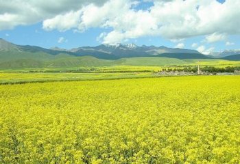 �Ͳ����ʩ���׷ʣ�