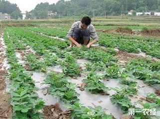 ���ϻ�ʩ����Ч�����������ρy���䣬��Ч���M�����Ì��ˆ���